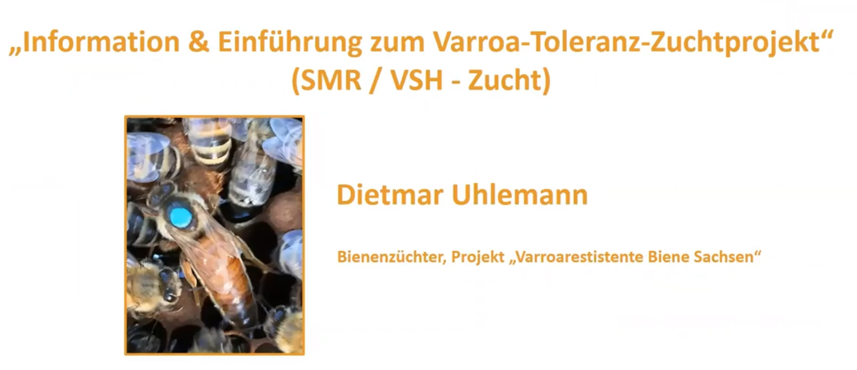 Information & Einführung zum Varroa-Toleranz-Zuchtprojekt (SMR / VSH - Zucht
